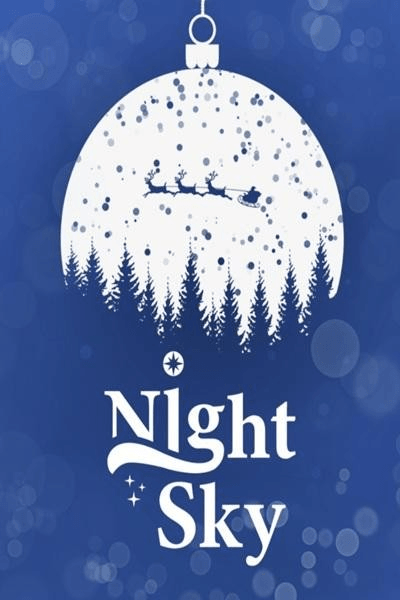 나이트스카이 크리스마스 콘서트 [대학로]