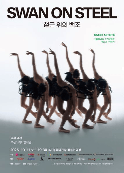 철근위의 백조 [부산]