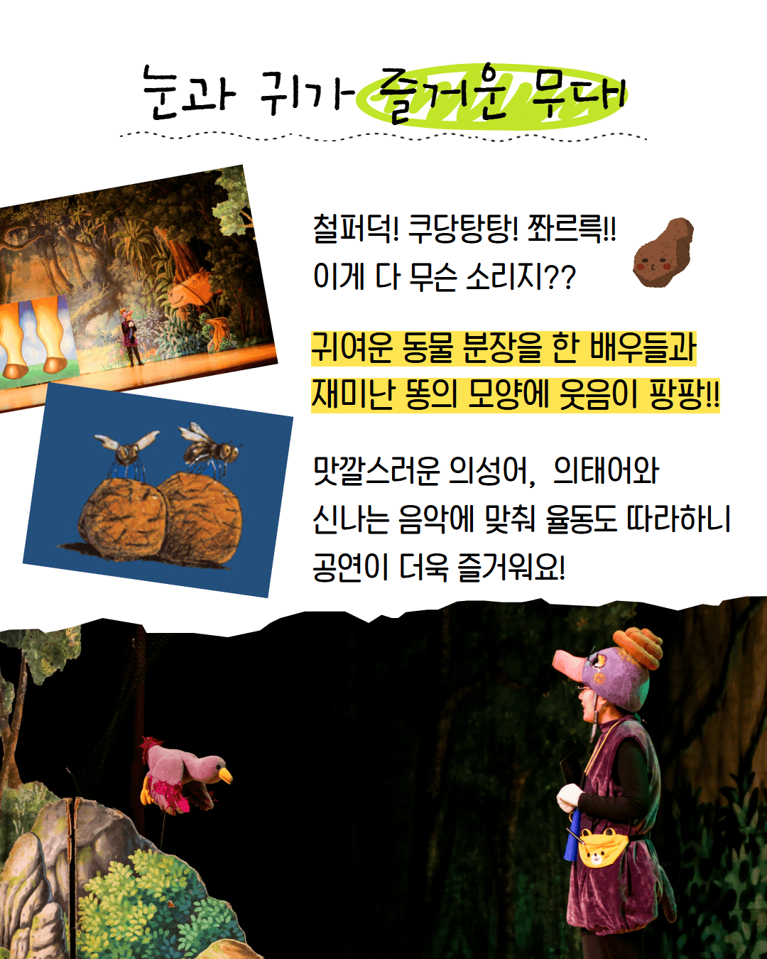 누가 내 머리에 똥쌌어? [횡성] 상세 7aa3c8b0