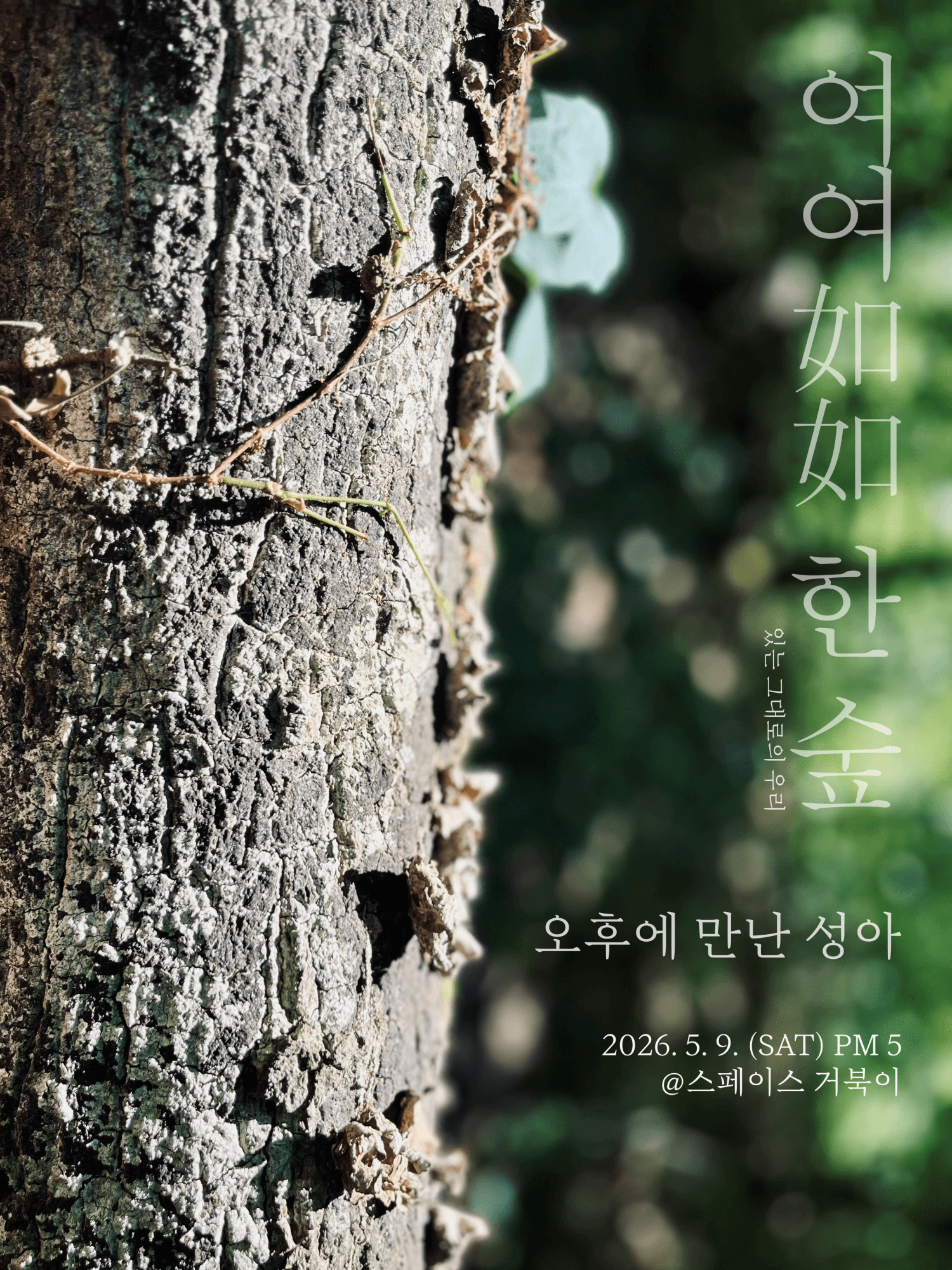 거북이 라이브, 여여如如 한 숲: 오후에 만난 성아 상세 eb0807ca