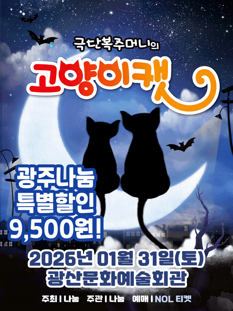 고양이 캣 [광주]