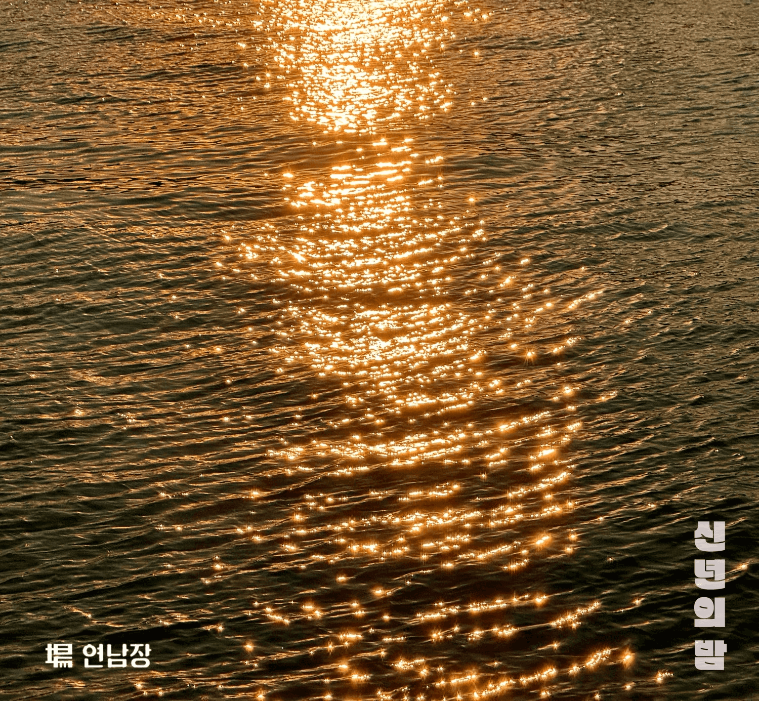 이지형 콘서트, 신년의 밤