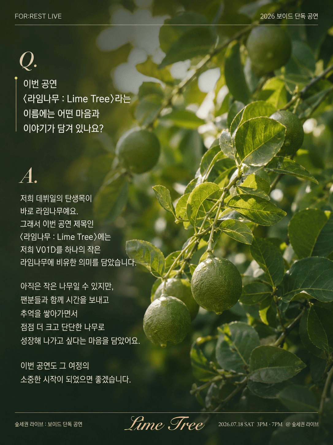 숲세권 라이브, 보이드 단독 공연: 라임나무 상세 e3d4cffa