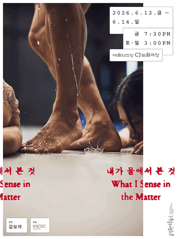 국립현대무용단, 내가 물에서 본 것 [서울] 포스터
